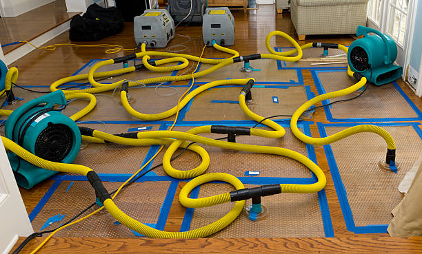 Professional Basement Flood Cleanup technician working in Glasgow, DE